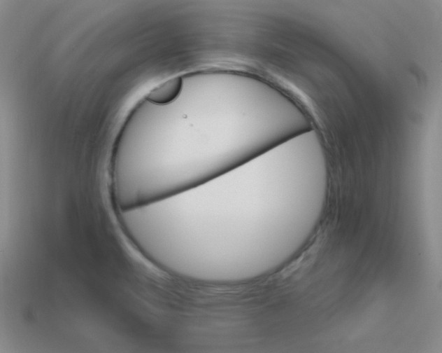 X0000114201471200910091038