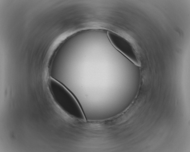X0000114201472200910091038
