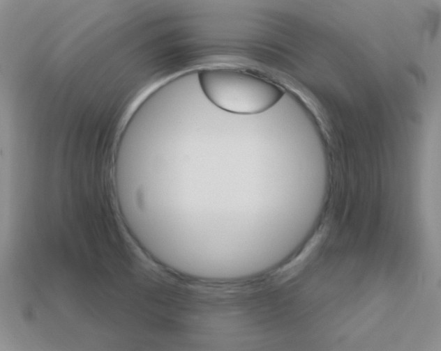 X0000114201473200910091038
