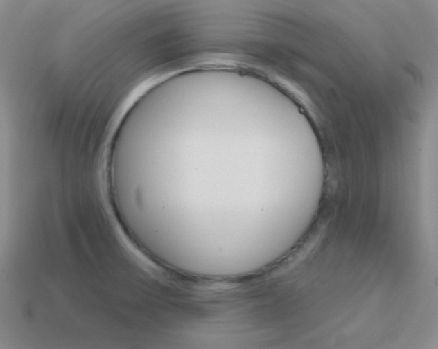 X0000114201475200910091038