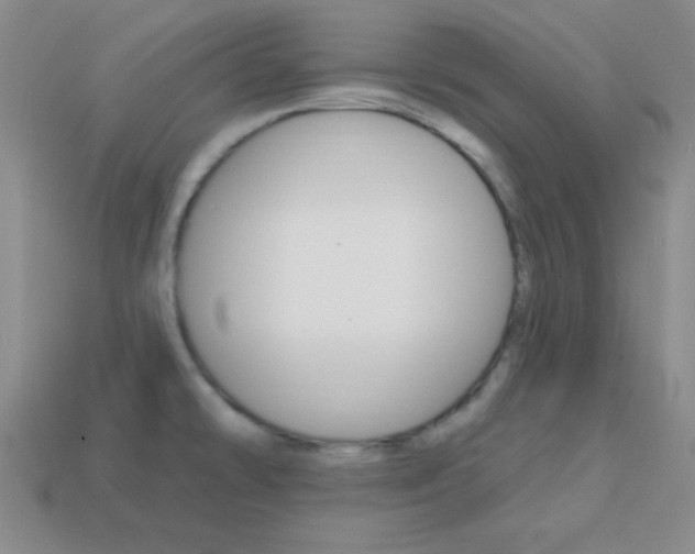 X0000114201478200910091038