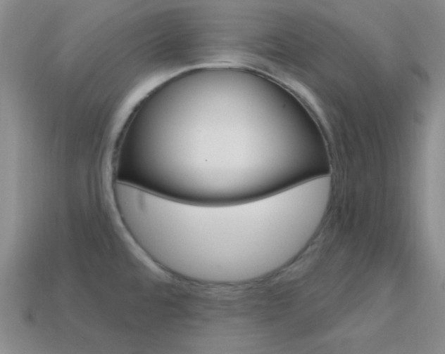 X0000114201480200910091038