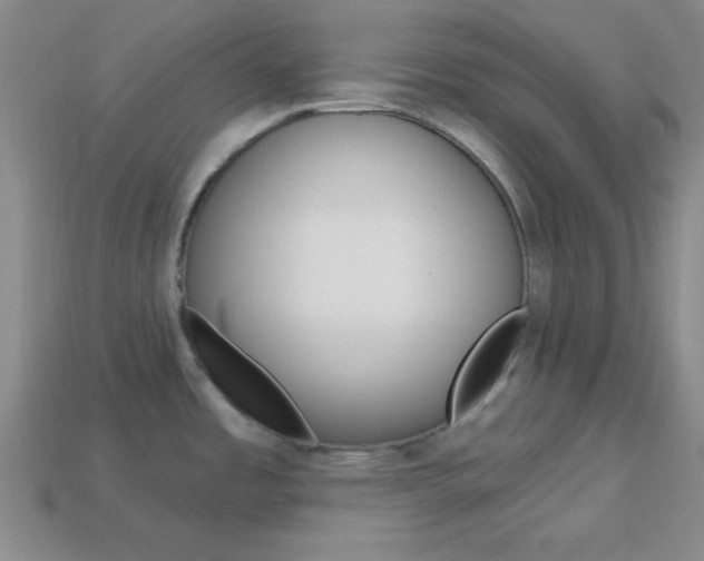 X0000114201485200910091038