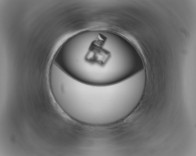 X0000114201488200910091038