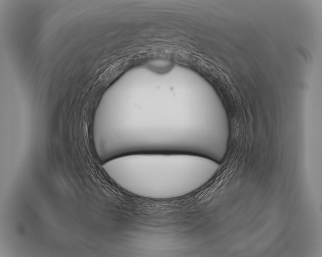 X0000114201489200910091038