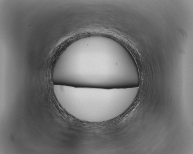 X0000114201494200910091038