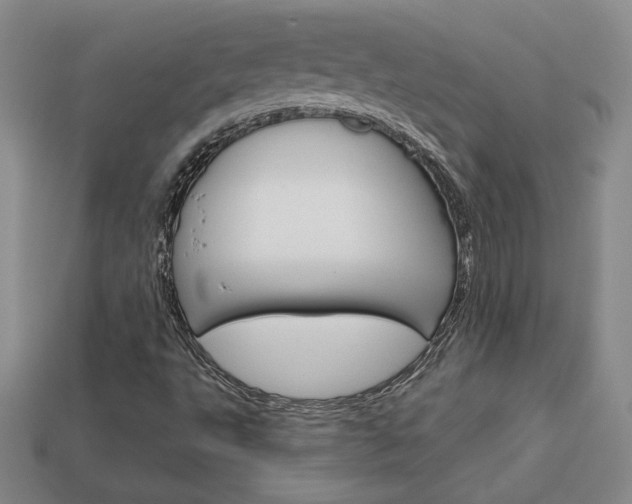 X0000114201495200910091038