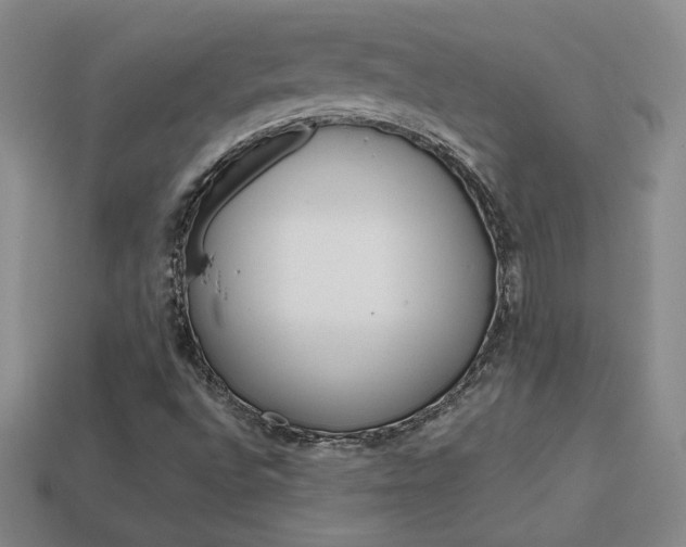 X0000114201496200910091038