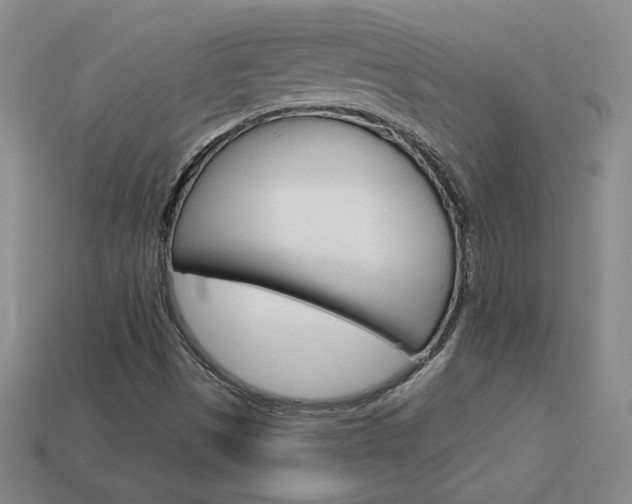 X0000114201497200910091038