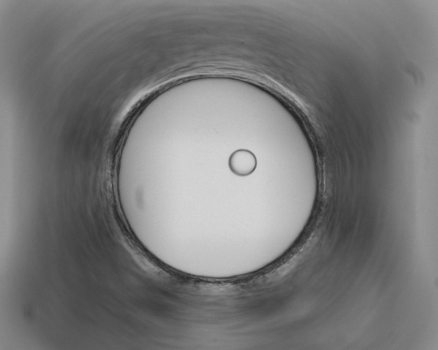 X0000114201498200910091038