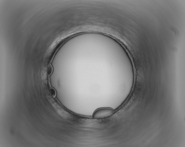 X0000114201499200910091038