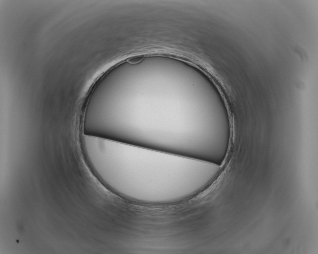 X0000114201500200910091038