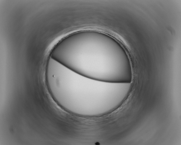 X0000114201504200910091038