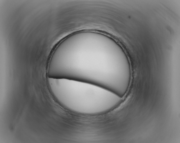 X0000114201505200910091038