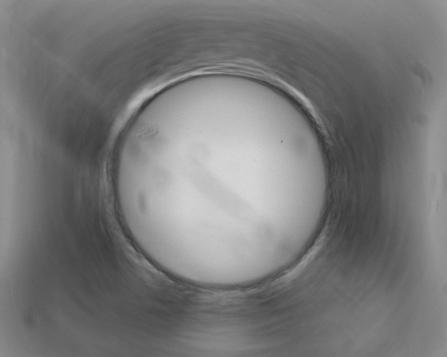 X0000114201506200910091038