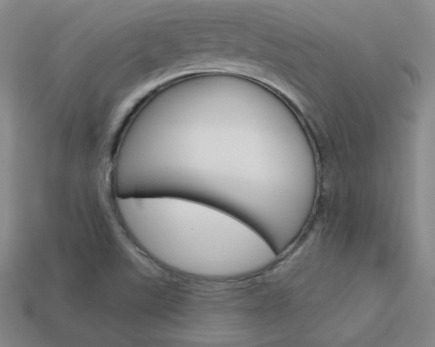 X0000114201507200910091038