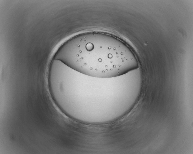 X0000114201508200910091038