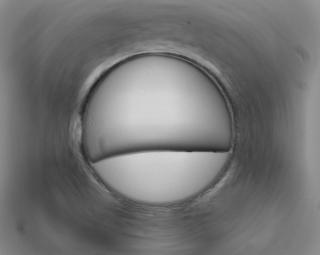 X0000114201509200910091038