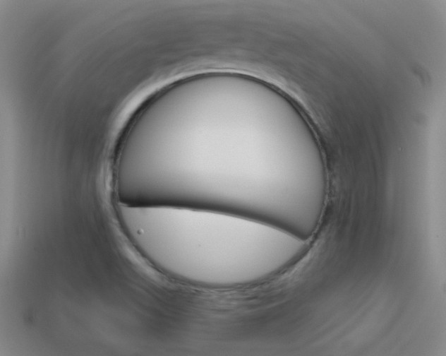 X0000114201511200910091038