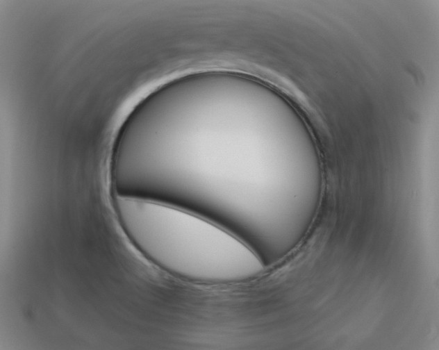 X0000114201512200910091038