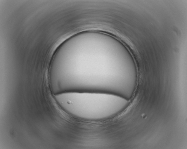 X0000114201513200910091038