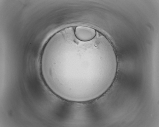 X0000114201514200910091038