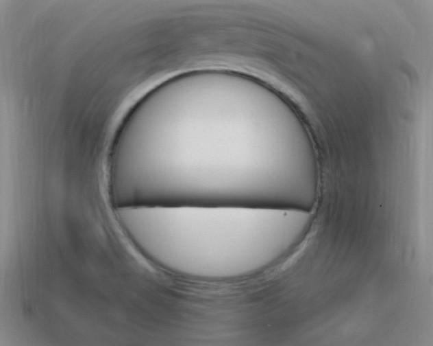 X0000114201517200910091038