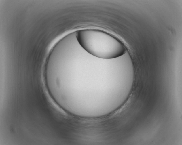 X0000114201518200910091038