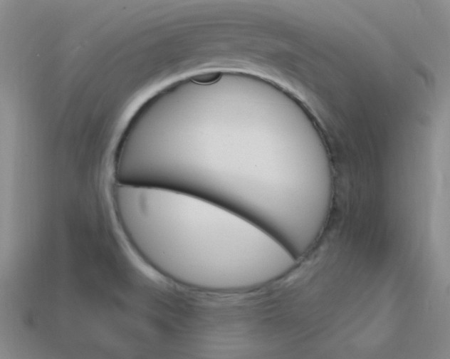 X0000114201519200910091038