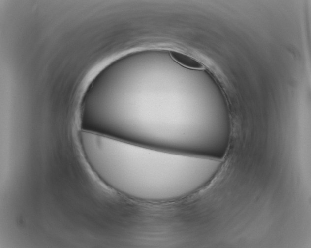 X0000114201520200910091038