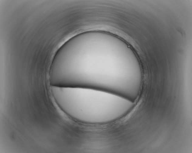 X0000114201521200910091038