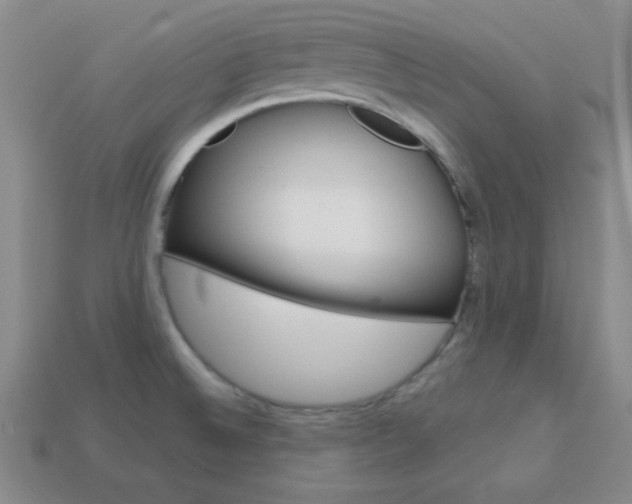 X0000114201524200910091038