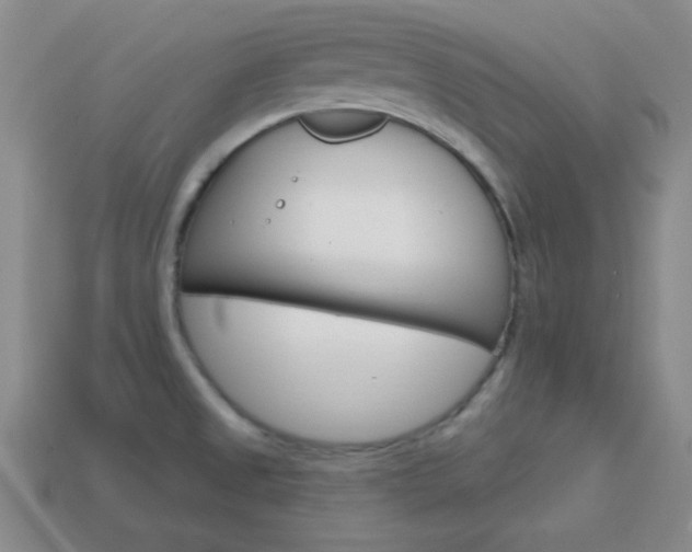 X0000114201525200910091038