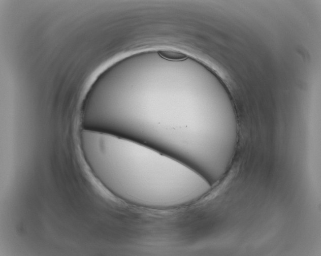 X0000114201526200910091038