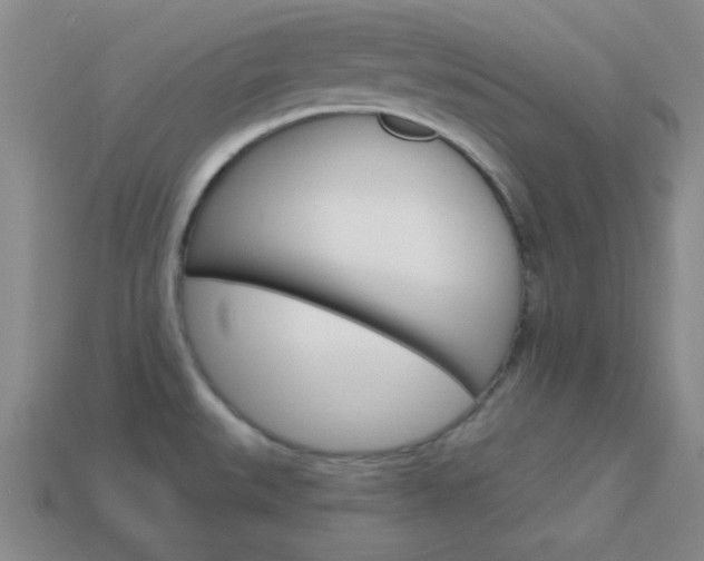 X0000114201527200910091038