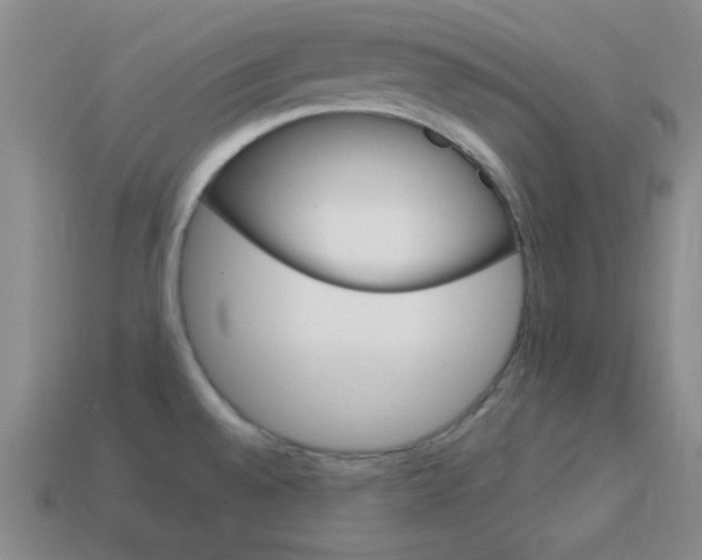 X0000114201528200910091038
