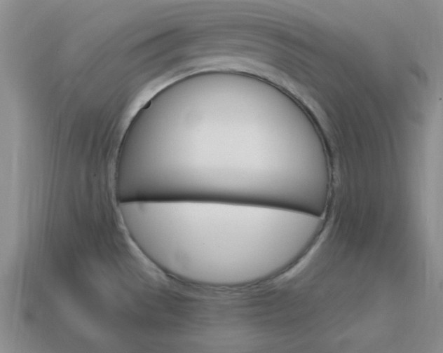 X0000114201529200910091038