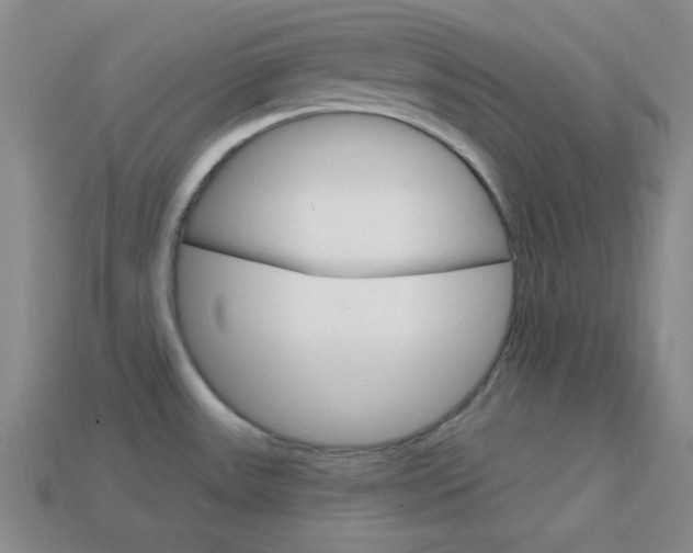X0000114201531200910091038