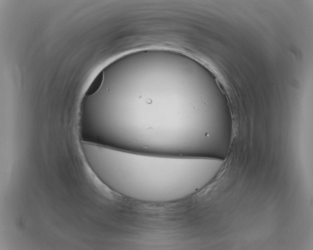 X0000114201532200910091038