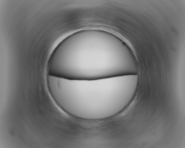X0000114201533200910091038