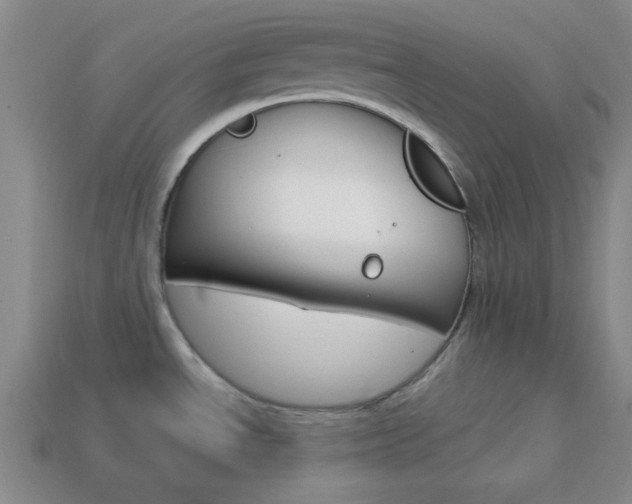 X0000114201534200910091038