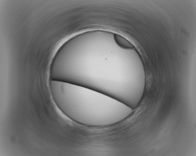 X0000114201535200910091038