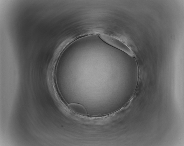 X0000114200001200910091302