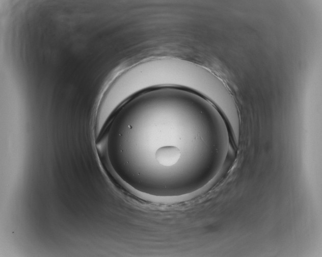 X0000114200003200910091302