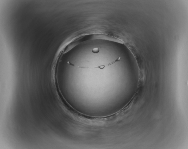 X0000114200004200910091302