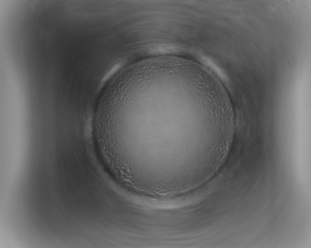 X0000114200010200910091302