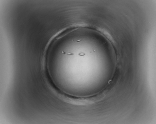 X0000114200012200910091302