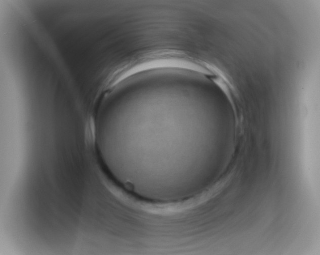 X0000114200013200910091302