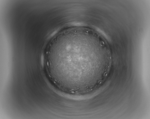 X0000114200014200910091302