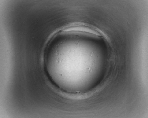 X0000114200015200910091302